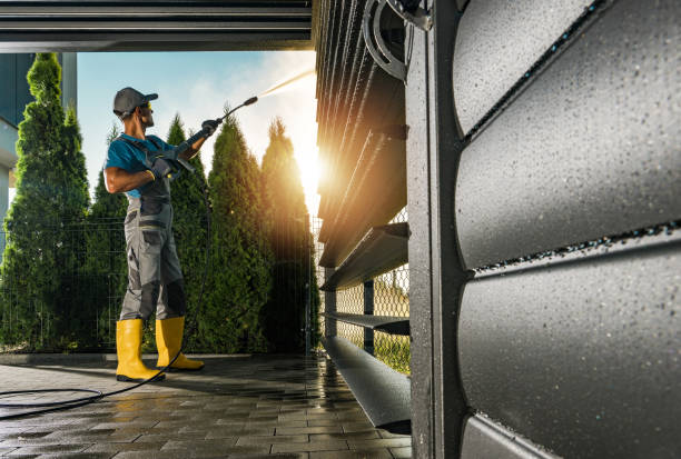 Trusted Vienna, IL Pressure washing Experts