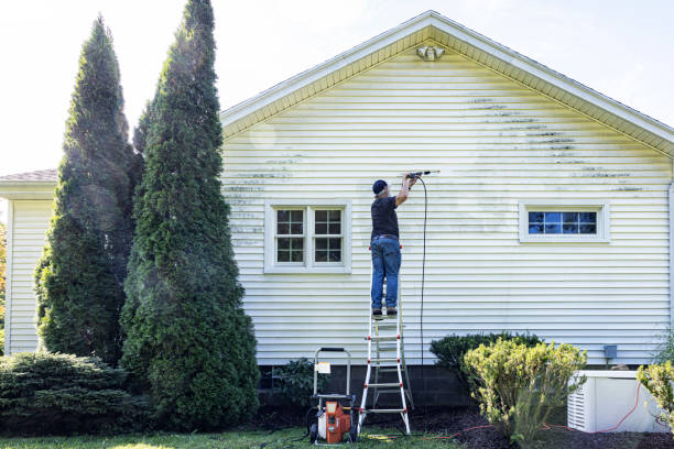 Historic Building Restoration in Vienna, IL